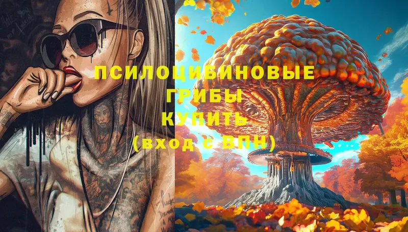 Псилоцибиновые грибы MAGIC MUSHROOMS  Краснозаводск 